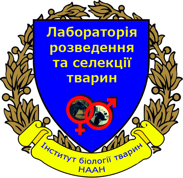 Logo Rozvedennya