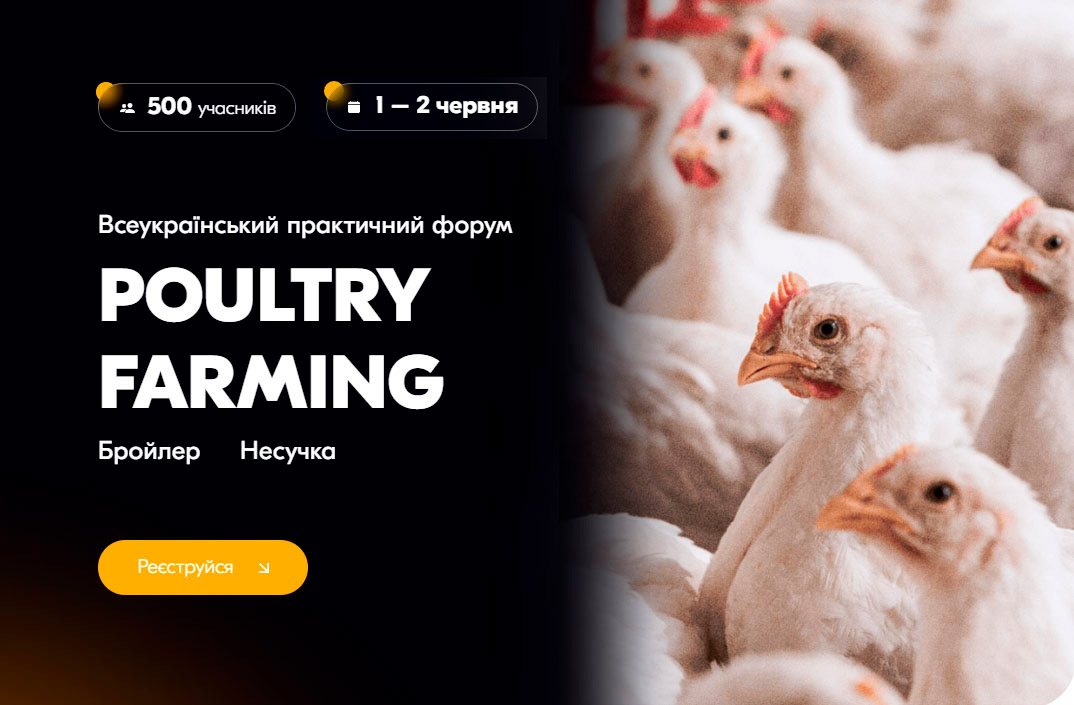 PoultryFarming 2023 av